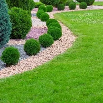Landscaping — JR Flores Landscape Services in Highlands, TX Landscaping — JR Flores Landscape Services in Highlands, TX
