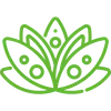 A green line drawing of a lotus flower on a white background.