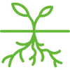 A green icon of a plant with roots and leaves on a white background.